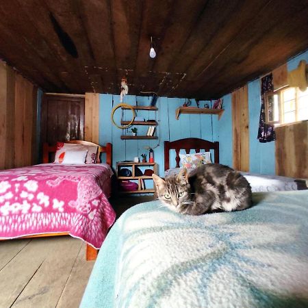 Patricia And Ned'S Cloud Forest Farm Cotacachi Luaran gambar