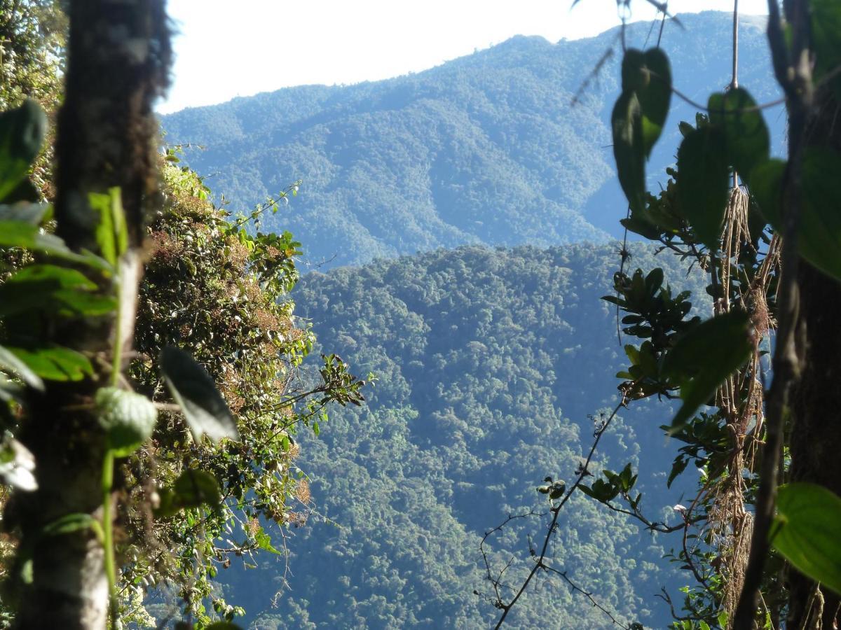 Patricia And Ned'S Cloud Forest Farm Cotacachi Luaran gambar