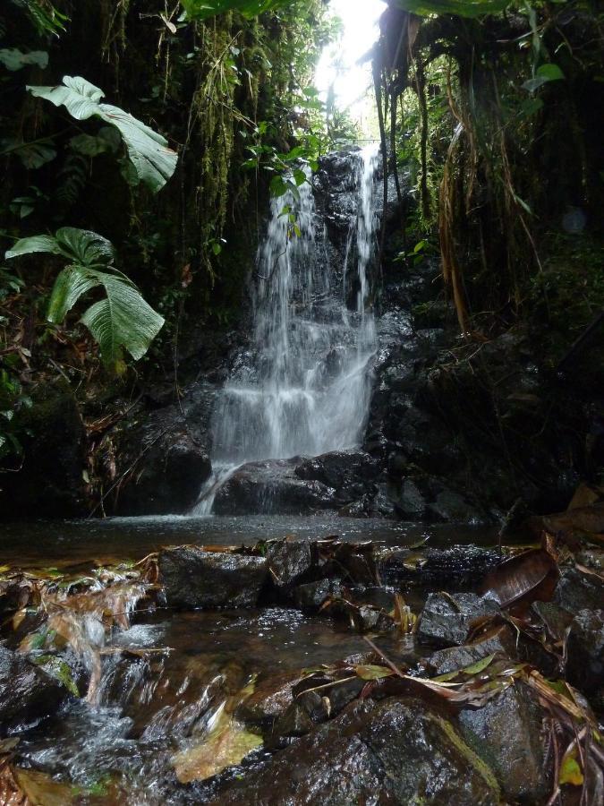 Patricia And Ned'S Cloud Forest Farm Cotacachi Luaran gambar