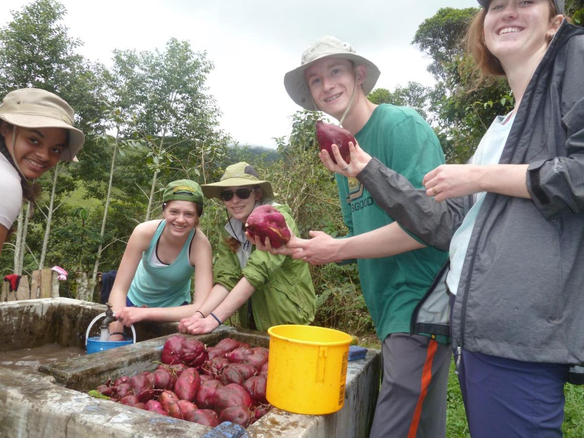 Patricia And Ned'S Cloud Forest Farm Cotacachi Luaran gambar