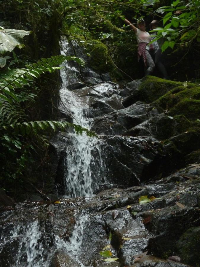 Patricia And Ned'S Cloud Forest Farm Cotacachi Luaran gambar