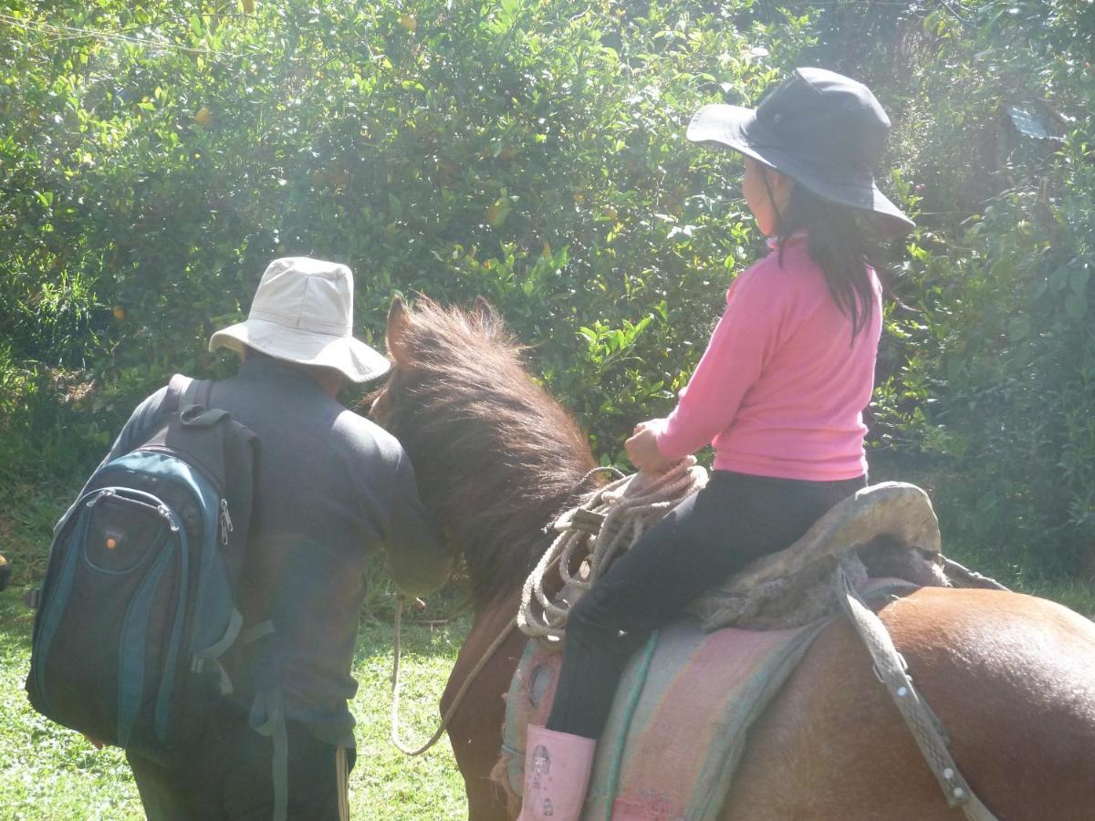 Patricia And Ned'S Cloud Forest Farm Cotacachi Luaran gambar
