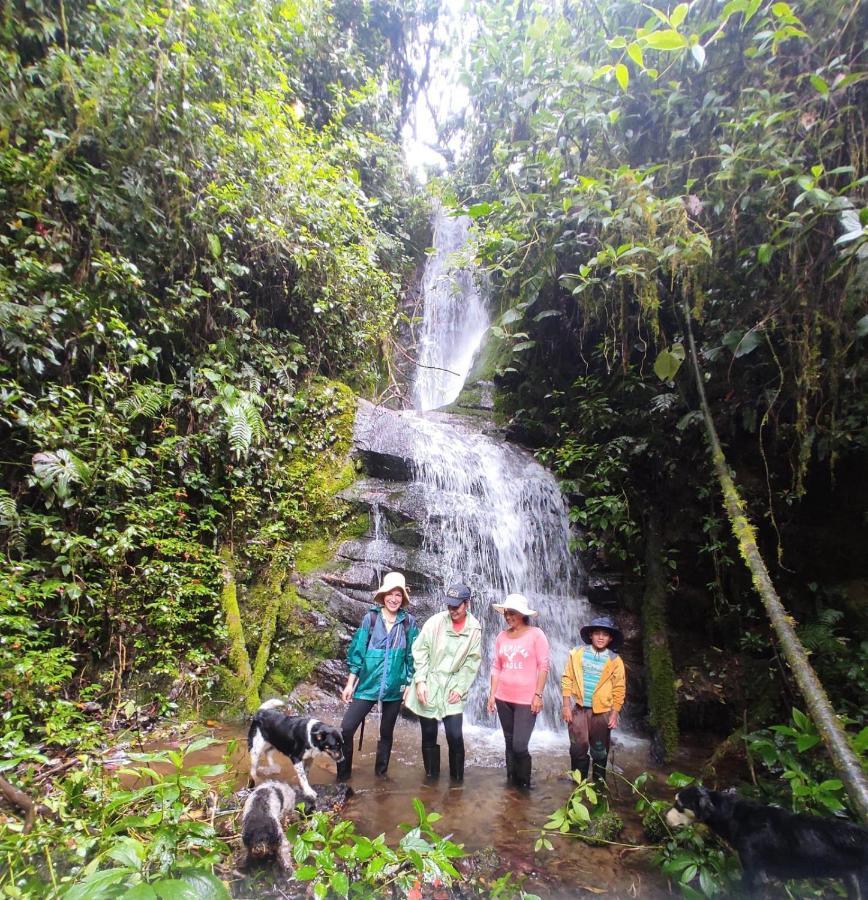 Patricia And Ned'S Cloud Forest Farm Cotacachi Luaran gambar